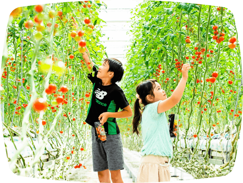 ワンダーファーム